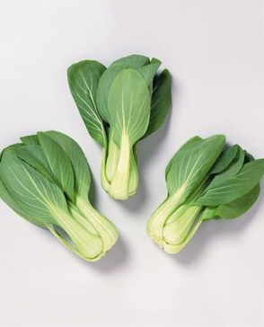 重慶蘑菇视频在线观看免费農產品配送有限公司_重慶農產品配送