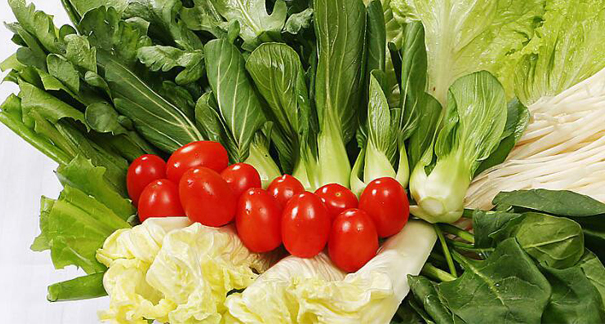 重慶蘑菇视频在线观看免费農產品配送有限公司_重慶農產品配送_重慶小龍蝦垂釣