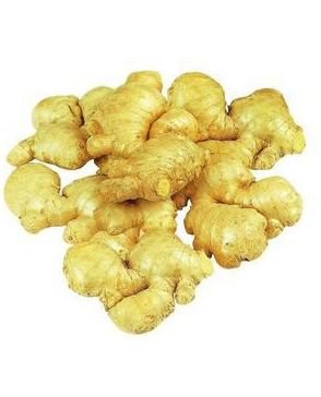 重慶蘑菇视频在线观看免费農產品配送有限公司_重慶農產品配送